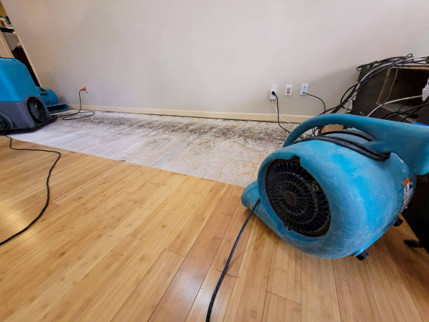 Reliable Storm Water Damage Restoration contractor in Warner, OK by Hirex Water Damage